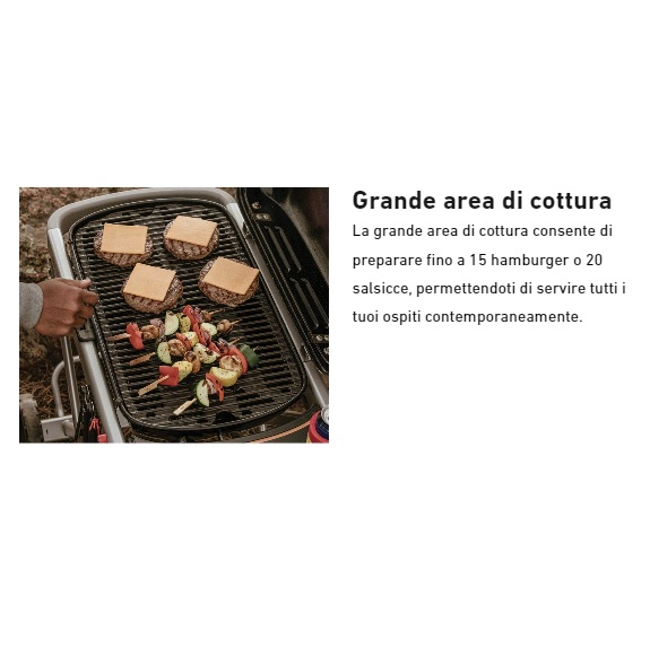 Vendita online Barbecue a gas Weber Traveler Black